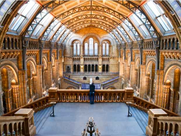 londons-natural-history-museum-has-cavernous-well-lit-halls-to-illuminate-its-exhibits-620x465.png
