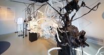 گالری هنرهای معاصر ارارتا