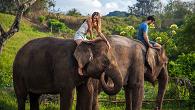 سافاری در بالی و بازدید از پارک حیوانات‏‏‏‎