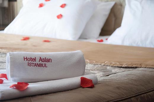 هتل اسلان استانبول-9