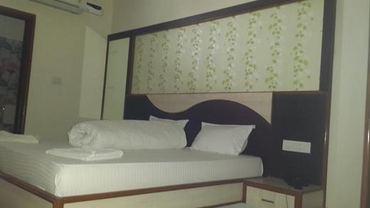 هتل رویال سلبریشن این جیپور-8
