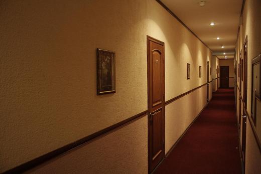هتل الیزار سنت پترزبورگ-9