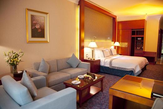 هتل گرند اکسلسیور البرشا دبی-9