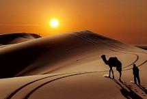 سافاری کویر مرنجاب و کویر ابوزیدآباد